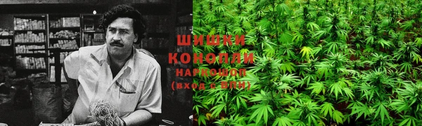 таблы Новокубанск