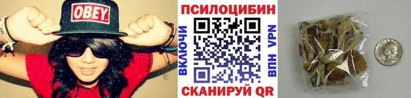 цена   Фёдоровский  Псилоцибиновые грибы Cubensis 